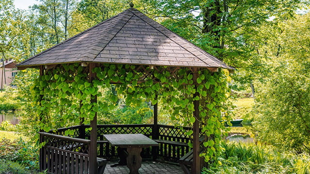 Деревянная беседка с мягкой кровлей